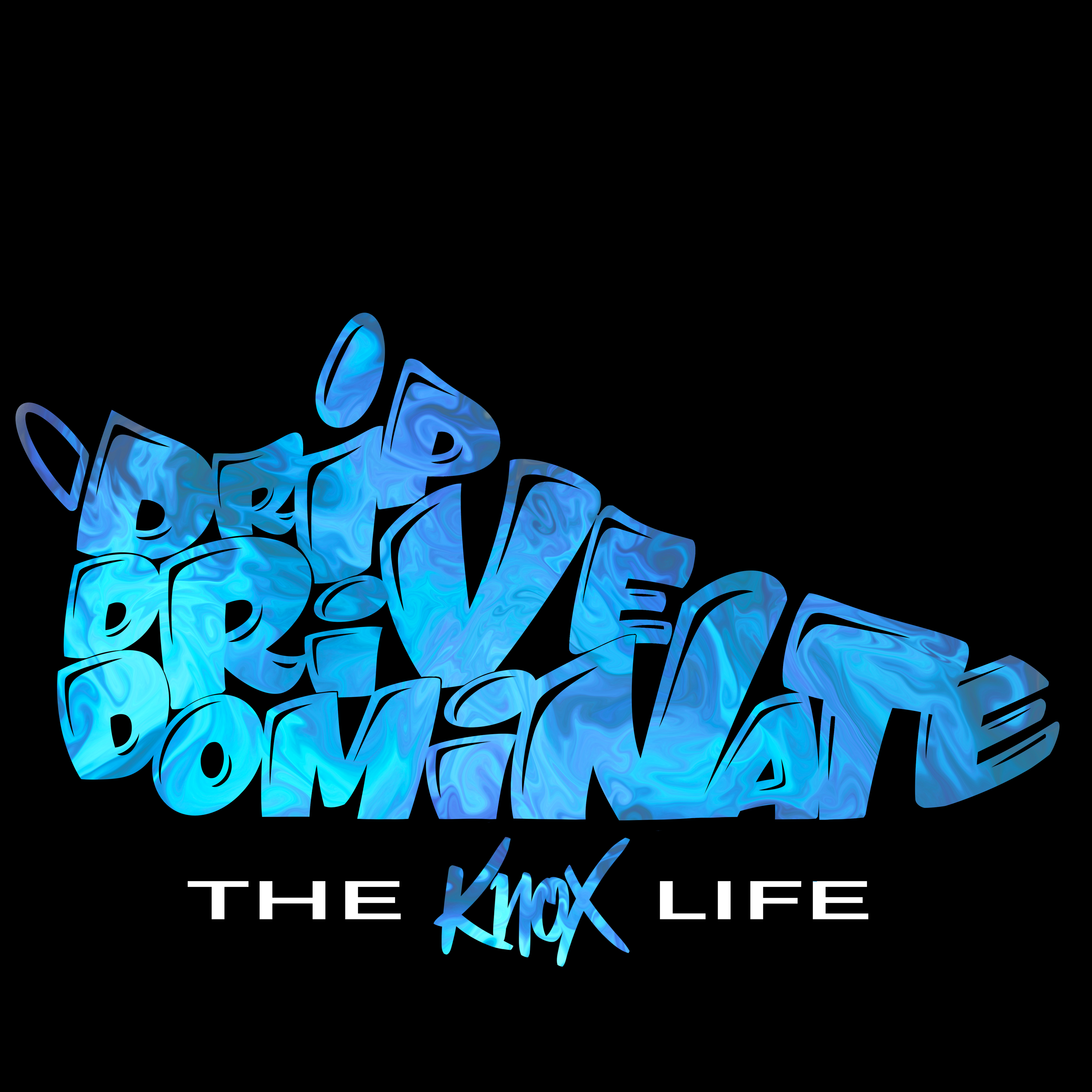 Limited Edition - Drip Drive Dominate Hoodie